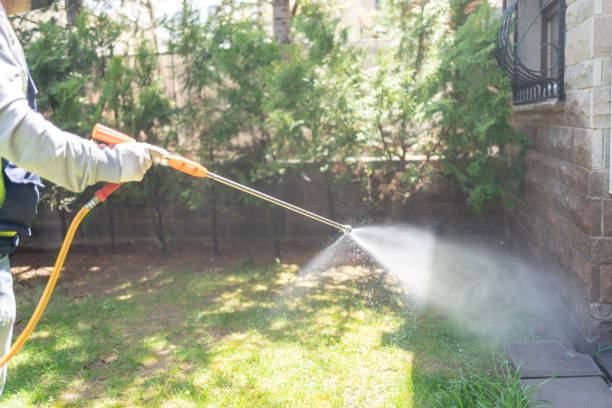 Best Termite Control Services  in Medical Lake, WA