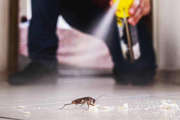 Best Best Pest Control Companies  in Medical Lake, WA