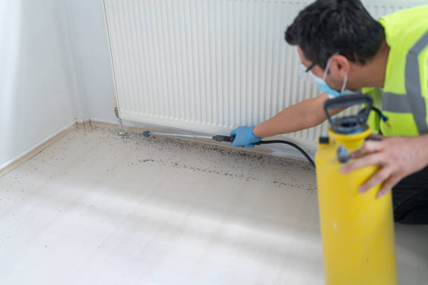Best Affordable Pest Control Services  in Medical Lake, WA