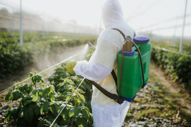 Reliable Medical Lake, WA Pest Control Solutions
